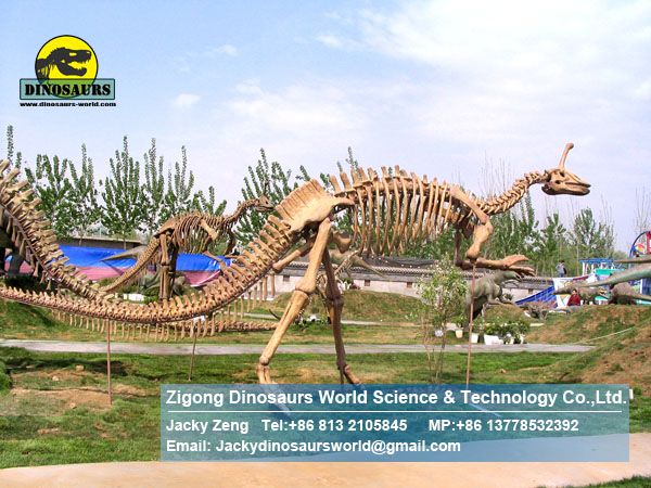 Shopping mall exhibition fossils replica art toys ( Tsintaosaurus ) DWS003