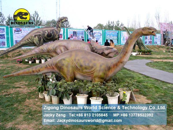 Amusement park exhibition model designs dinosaurs (Shunosaurus) DWD054