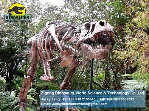 Dinosaur animatronic amusement park T- Rex DWS014