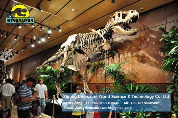 Jurassic park model dinosaurs skeleton replica T-rex Skeleton DWS016