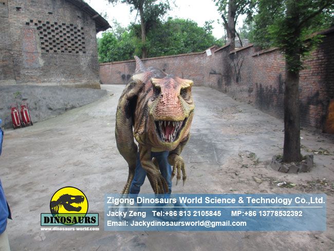 Latest Dinosaurs Costume Finished In Factory DWE3324​​-1