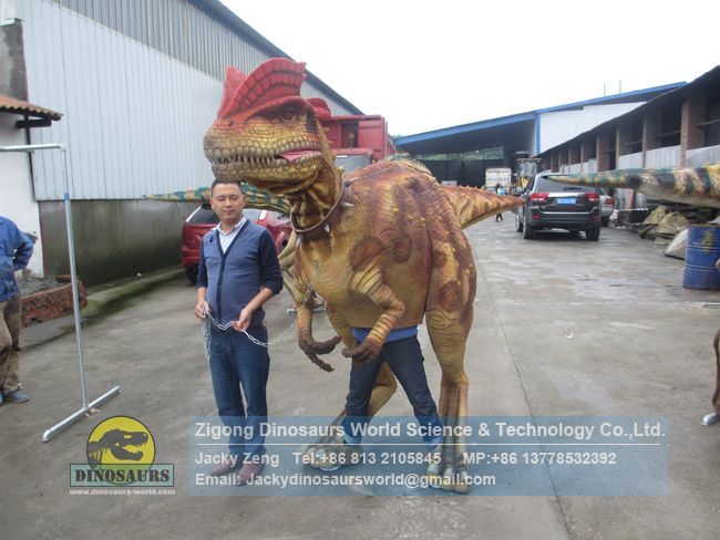 Customized walking with robotic dinosaur costume DWE3324-15