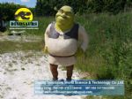 Cartoon character Shrek Theme park equipment DWC019
