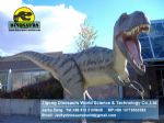 Best dinosaurs factory showroom dinopark dinosaurs ( Albertosaurus ) DWD026